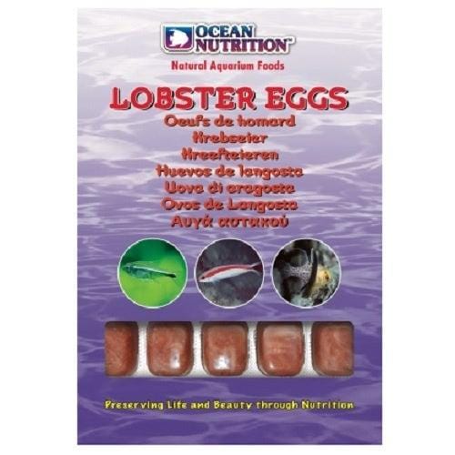 Buy Ocean Nutrition Frozen Lobster Eggs 100g Fine Pebble Aquarium