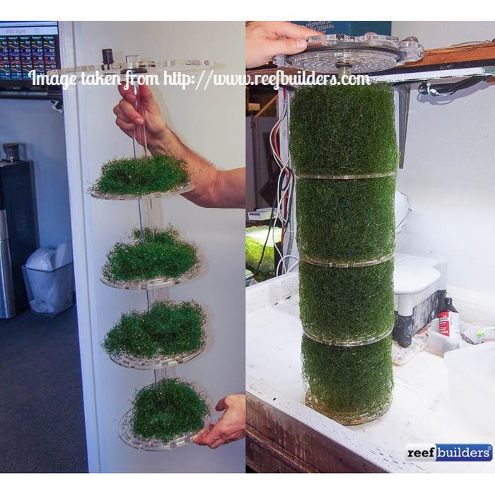 Pax Bellum ARID C30 Macro Algae Reactor - Image 3