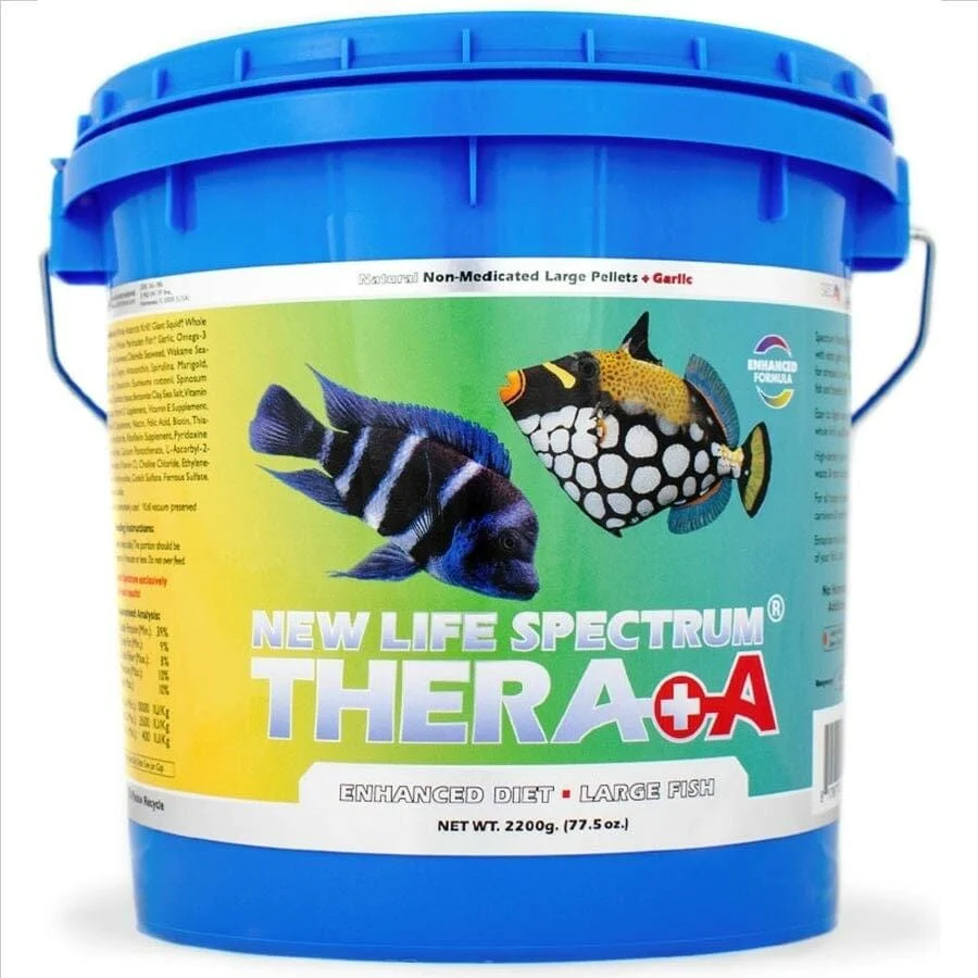 New Life Spectrum Thera+A Large Sinking 3.0mm-3.5mm 2200g