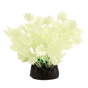 Aqua One Ornament Glow In The Dark Hydrocotyle (36849)