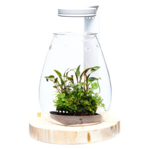 ADA DOOA MAGNET LIGHT MOUNTING ARM FOR WOOD BASE