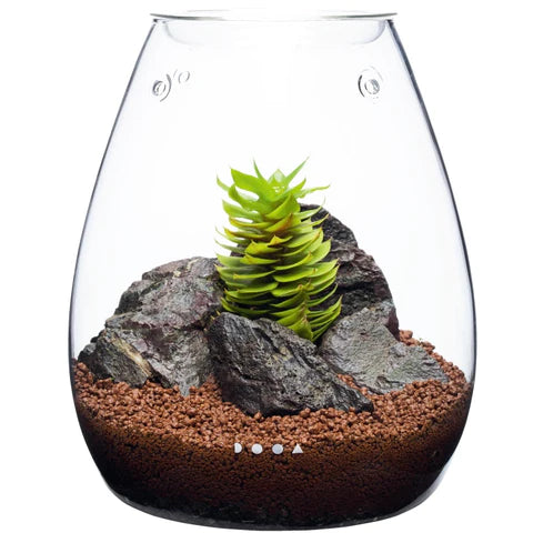 DOOA GLASS POT SHIZUKU - Image 2