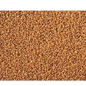 ADA NATURE AQUARIUM AP-2 GOLD FISH FOOD 25G